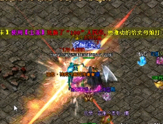 你玩找私服的时候遇到过骗子吗
