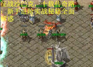 征战沙巴克，十载传奇路：新手进阶实战秘籍全面解惑