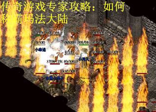 传奇游戏专家攻略：如何称霸玛法大陆