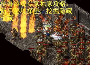 传奇游戏专家独家攻略：新手秘境探险，挖掘隐藏宝藏