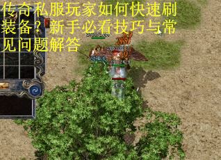 传奇私服玩家如何快速刷装备？新手必看技巧与常见问题解答