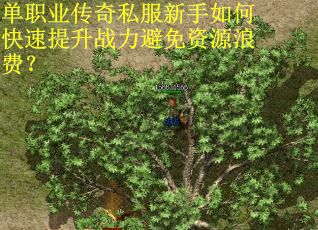 单职业传奇私服新手如何快速提升战力避免资源浪费?