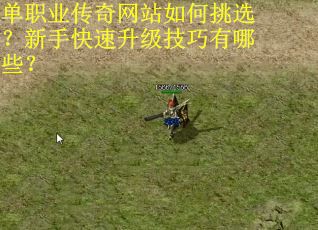 单职业传奇网站如何挑选?新手快速升级技巧有哪些?