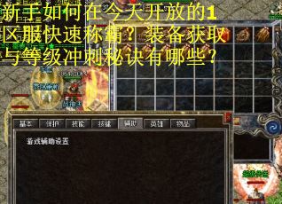 新手如何在今天开放的1区服快速称霸?装备获取与等级冲刺秘诀有哪些?