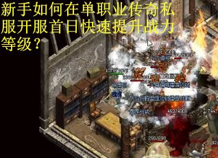 新手如何在单职业传奇私服开服首日快速提升战力等级？