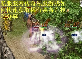 私服服网传奇私服游戏如何快速获取稀有装备?技巧分享