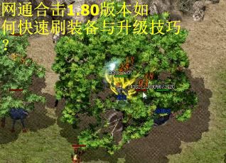 网通合击1.80版本如何快速刷装备与升级技巧?