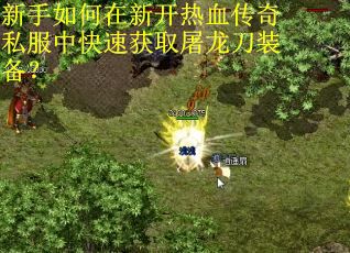 新手如何在新开热血传奇私服中快速获取屠龙刀装备?