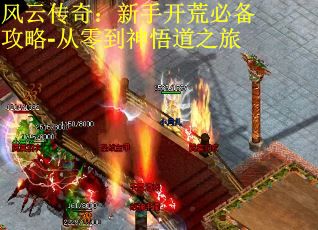 风云传奇：新手开荒必备攻略-从零到神悟道之旅
