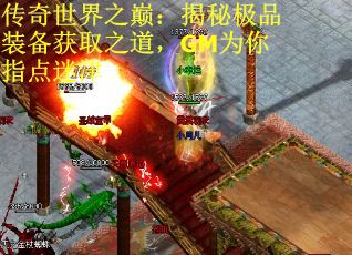传奇世界之巅：揭秘极品装备获取之道，GM为你指点迷津