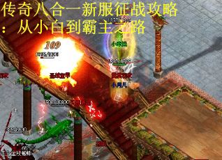 传奇八合一新服征战攻略：从小白到霸主之路