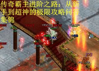 传奇霸主进阶之路：从新手到超神的极限攻略问答集锦