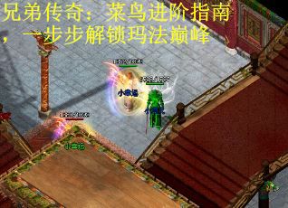 兄弟传奇：菜鸟进阶指南，一步步解锁玛法巅峰