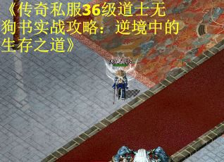 《传奇私服36级道士无狗书实战攻略：逆境中的生存之道》