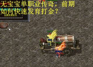 无宝宝单职业传奇，前期如何快速发育打金？